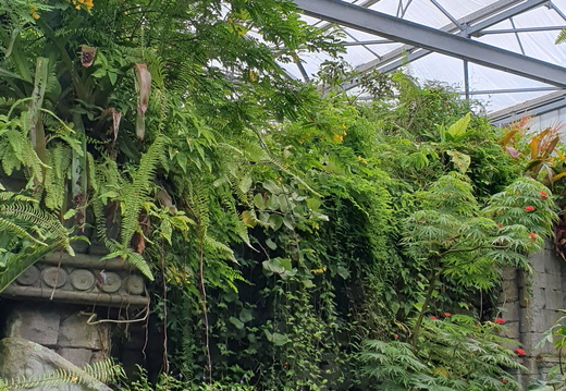 Wildlands Emmen
